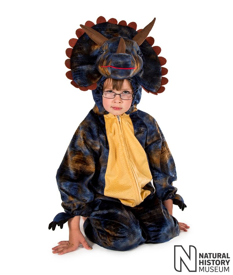 Costume di Carnevale da bambino Pretend to Bee – Triceratopo, costume di  carnevale