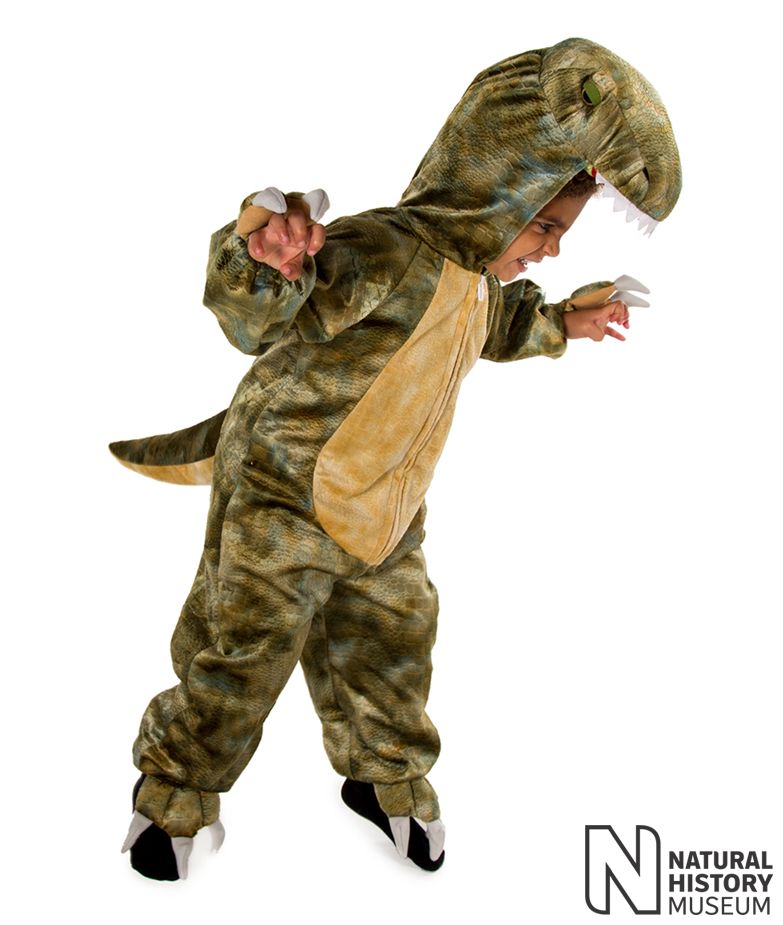 Costume di Carnevale da bambino Pretend to Bee – T- Rex, costume di  carnevale