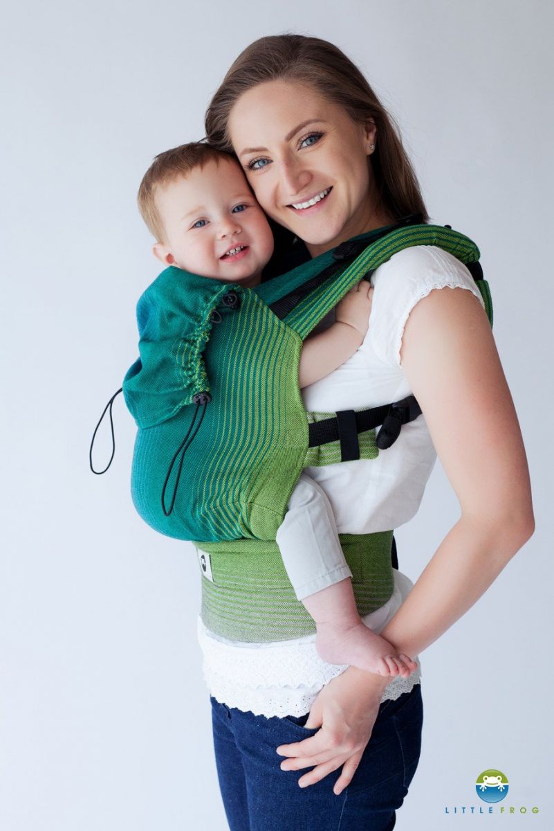 Little frog 2025 ergonomic carrier