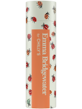 Borraccia termica in acciaio inossidabile Chilly's 500 ml – Emma Bridgewater Ladybird