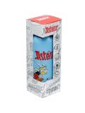 Borraccia Termica Riutilizzabile in Acciaio 530ml - Asterix e Obelix - Blu