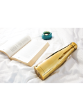 Borraccia termica in acciaio inossidabile Woodway – Well Gold Chrome