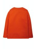 Maglietta per bambini in cotone biologico Frugi – Adventure Tiger Orange/Spider