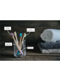 Spazzolino da denti in bambù Wild & Stone per bambini - Confezione da 4 pezzi in vari colori
