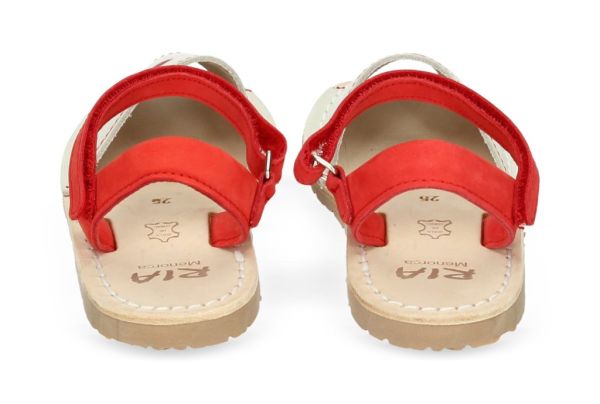 Avarcas coccinella 58697