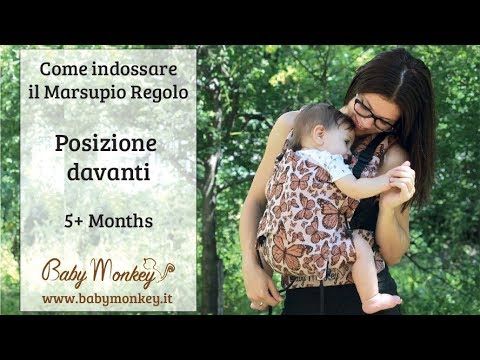 Marsupio Ergonomico Regolo - Petite Faville Viola