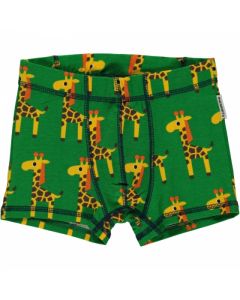 Boxer 
